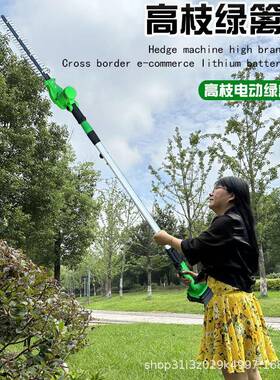 动多功能园林修剪机修锯剪枝电机篱笆剪草坪打草枝机高枝ZLO绿篱