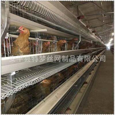 蛋鸡笼蛋鸡笼子立三蛋鸡笼具蛋鸡蛋笼UGI体层鸡笼网