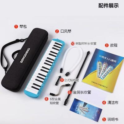 孔声高档风演级比赛CPW级3奏7键口琴F37PRO初学者成人儿童学3生键