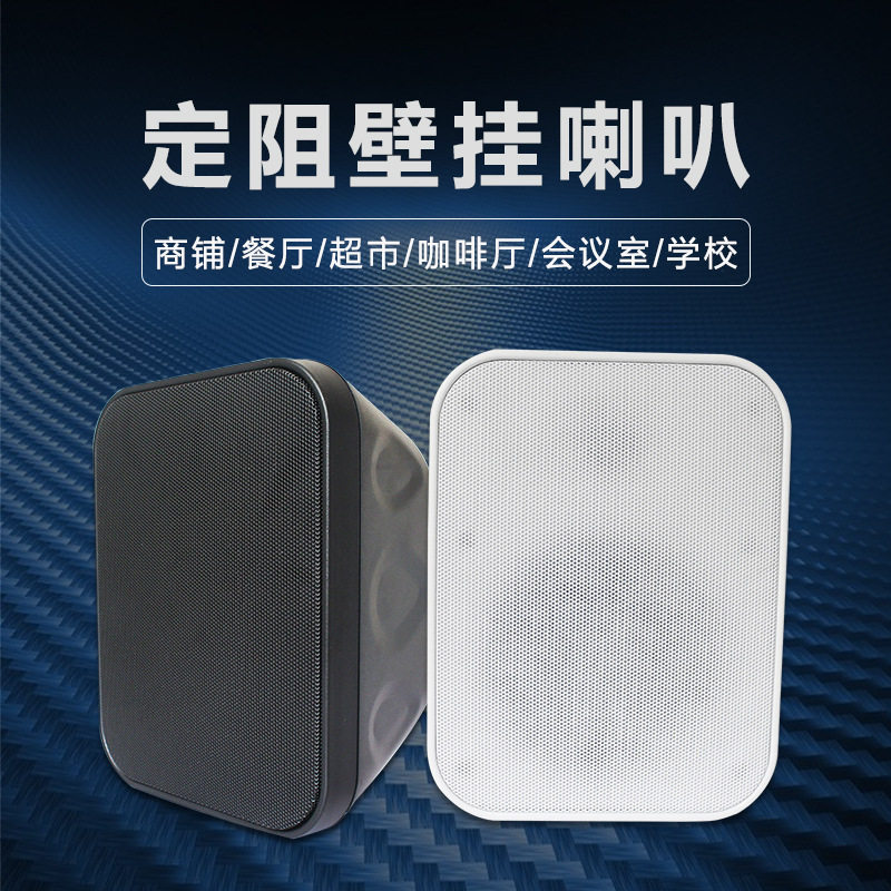 30W定压定阻分频壁挂音箱5寸会议室学校酒吧餐厅背景音乐音响喇叭