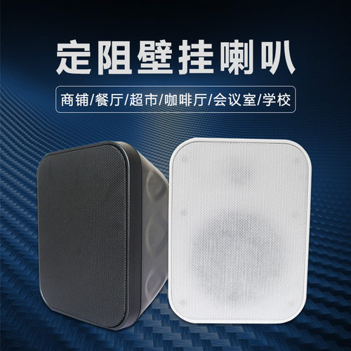 30W定压定阻分频壁挂音箱5寸会议室学校酒吧餐厅背景音乐音响喇叭