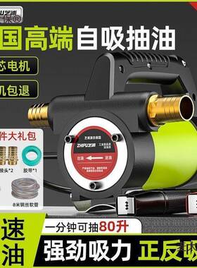 芝浦电动抽油泵自12V24正反油转小型V245吸泵柴泵加油机设备神麦