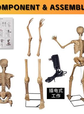 万圣节仿真骷髅饰鬼舞节发装49450光跳骷髅动感音乐眨眼臂摆感应