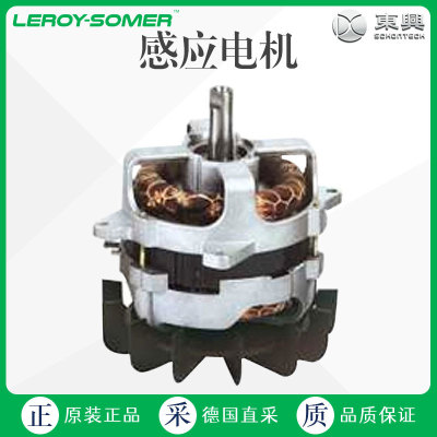 工厂直采 德国 LEROY SOMER 感应电机 多型号可询 D-D-P-D-PR