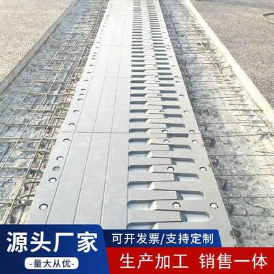 梳齿板式桥梁缩缝组合式桥梁路伸震缩装置地面变伸566形缝公抗伸