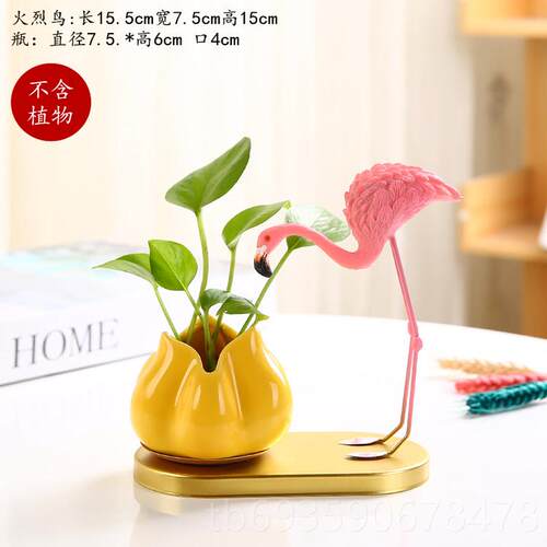 正品创意水花培植物黄金葛花摆器水培皿瓶陶瓷花盆器插花瓶火烈鸟