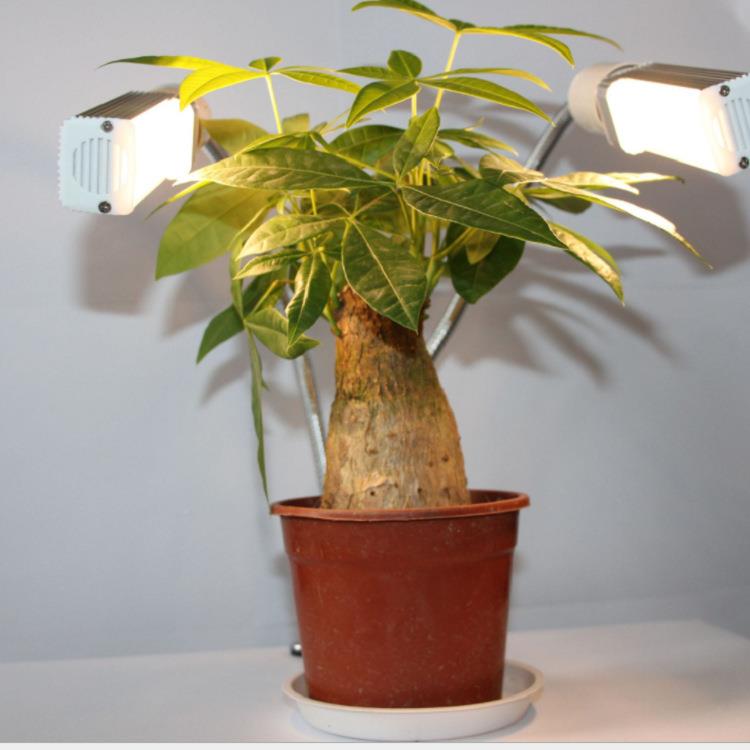 植物生长补光灯LE光D补光生长灯多补光HS-GR11生谱长led植物花卉