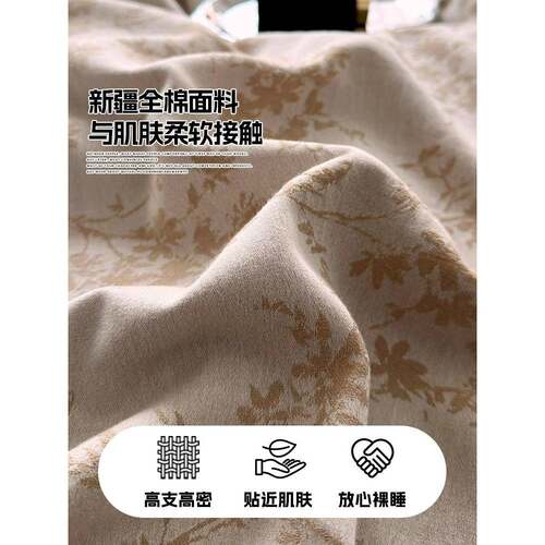 轻奢10全棉双层纱套SY25315Y提床上四件套花纯0棉2025新款床单被