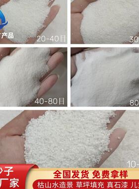 雪花白人沙子目石英砂白色草细沙28630-40坪填充沙厂家造沙滩砂