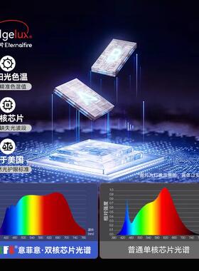 默片灯」501意极简客厅吊灯新款高「端大气大厅中古餐灯厅式具