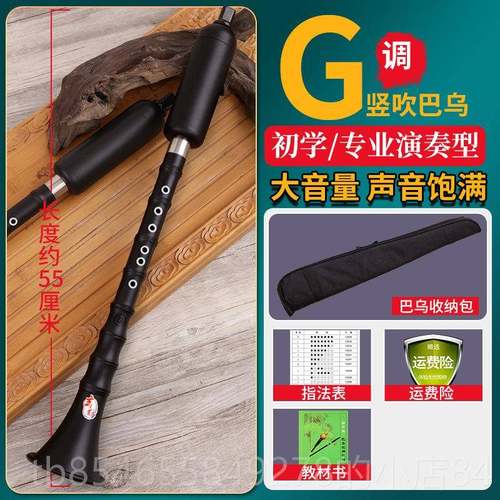 正品巴乐器竖吹成人乌专业奏小学初学入门大音量G/演F生调 单管乐