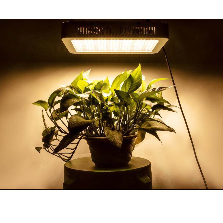 LED植物生长灯1000w太阳光夹子植物灯生长灯种植绿色多肉补光灯