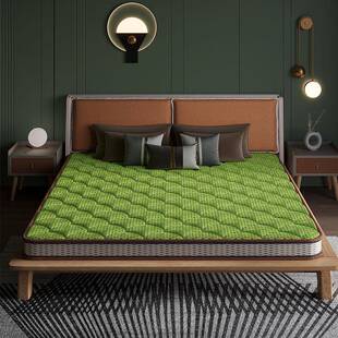 床垫椰棕垫家用棕榈软硬适中床垫1.8儿童护脊1.5米经济型环保床垫