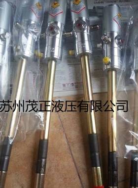 意大利飞鹰RAASM气动黄油泵63074气动泵用于磨煤机应用于电厂矿山