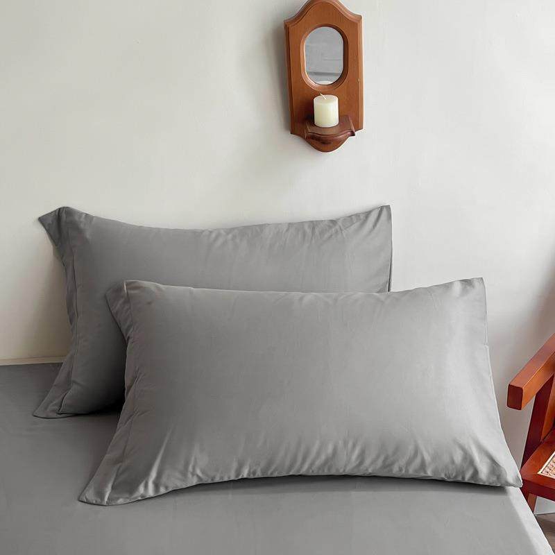 加厚100S磨毛枕套一对装全棉纯棉绒枕头套纯色整套枕头袋秋冬
