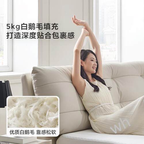 雯P1KMY床2双人互不扰床205新款大床打主TP卧C189