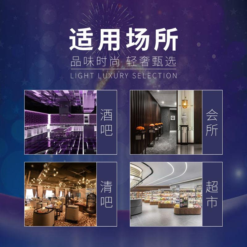 啤柜箱商用饮料展柜冷示藏保鲜柜立式便利店冰双门超市网红冰酒柜图片