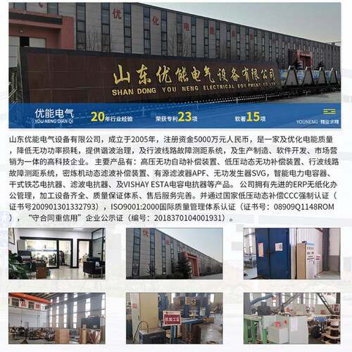 无功补偿高压功自动补偿装置高压无容柜电电容高压无功器柜补偿柜