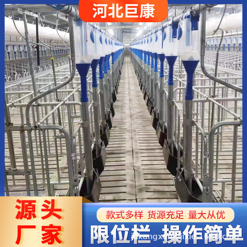 巨康母猪定位栏热镀锌分娩保育两用限位栏