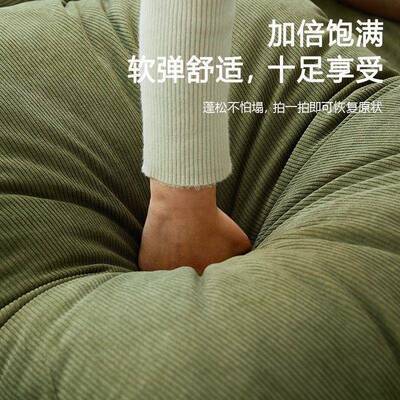 人类窝懒人沙发阳可躺可睡双人榻榻米巨大狗沙折叠台卧室小UBD发
