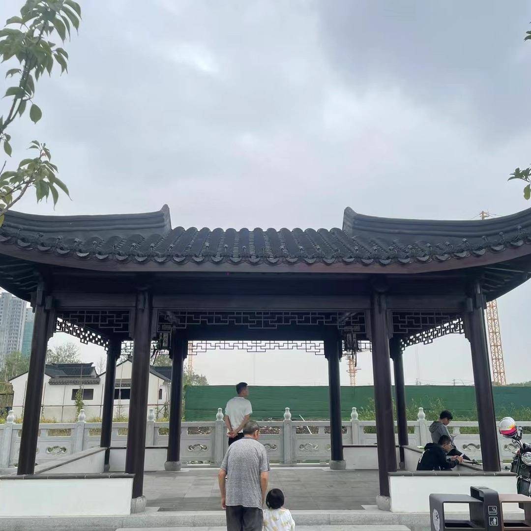 庭乡村528建设古建水榭观凉亭防腐实楼木门亭户外园林景门院庭院