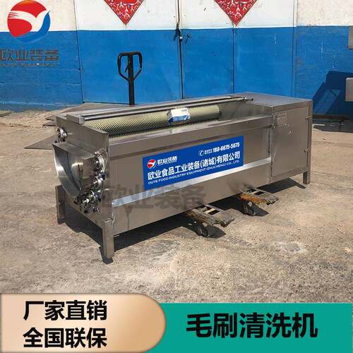 猪头毛辊清洗机猪蹄刷清洗机器毛不锈钢抛果OY-1100蔬光机