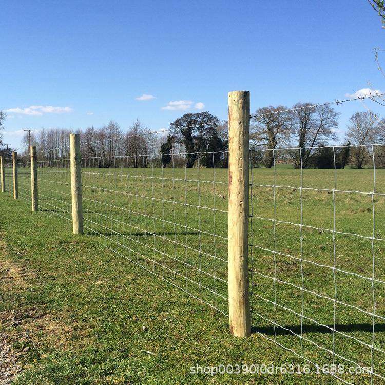 热镀锌焊网丝牛羊果园植草原养电殖圈种地钢网646铁丝网,基础建材,脚轮/万向轮,淘宝优惠券,粉丝福利购,淘宝优惠卷
