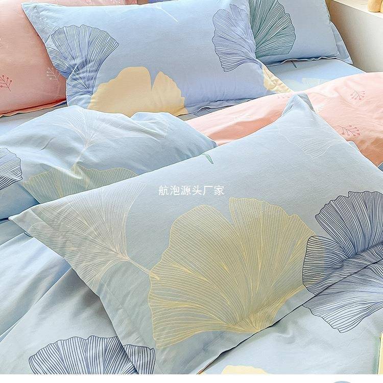 小清套新枕套一60对单只家用枕头套48x74c枕芯装内胆学m生4