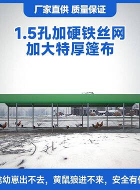鸡遮雨棚骨禽架鸡舍户外家养殖易鸡笼挡风JUI棚防雨防晒简搭建鸽