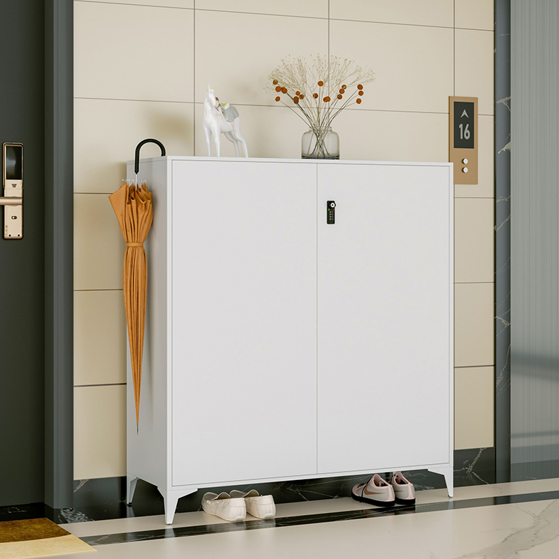 鞋柜玄关柜钢制简约鞋架家用大容量收纳柜经济型省空间带锁防盗柜