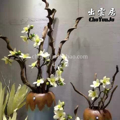 过江龙藤摆件软装饰干花干枝枯木树枝树藤干枯造型藤条插花干树枝