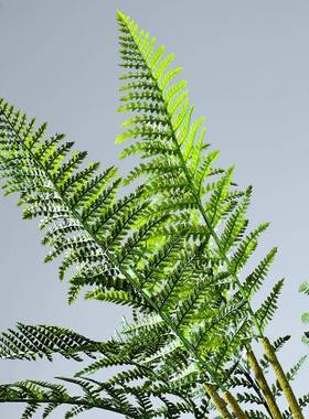 波斯蕨波斯草猴头仿真绿植大蕨型把束软摆装造景装植物91022盆栽