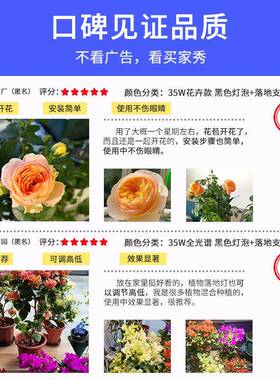 全光谱edHQJ植物补内光灯支架植花卉l生绿长灯仿太阳光室热销