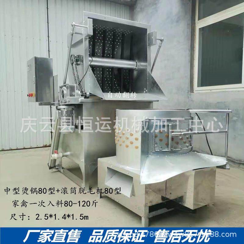 鸡鸭11032能鹅脱毛机商用全自烫脱一体机鸽子鹌鹑多大功型打动毛
