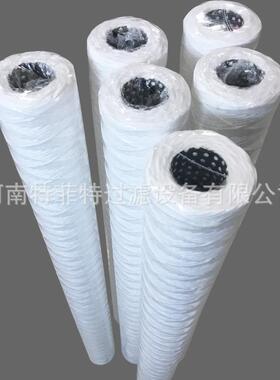 特菲特生水产化工提盐QHH行业R线绕1滤芯T09B16G20NN规格齐全0寸