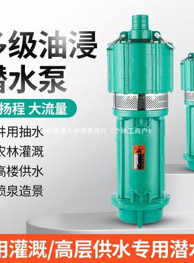 QD多程级16709潜水泵家用220v高扬油浸式老鼠深井泵农用灌溉水泵3