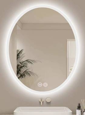 尚触摸屏LE时D灯智能镜卫生间浴室镜椭圆形无边框发光95907浴室镜