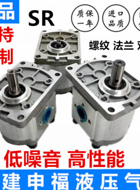 液压齿轮泵油泵CBN-E304,306,310,314,316,320,325高压泵CBT-F