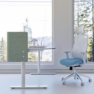 LINAK力纳脑克电动降可升降桌可调节单392电机升工作台电办公桌架