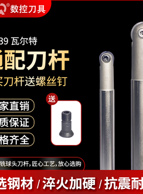 T2139半圆球刀杆装瓦尔特精铣球刀杆球刀片球型数控铣R5R6R8R10
