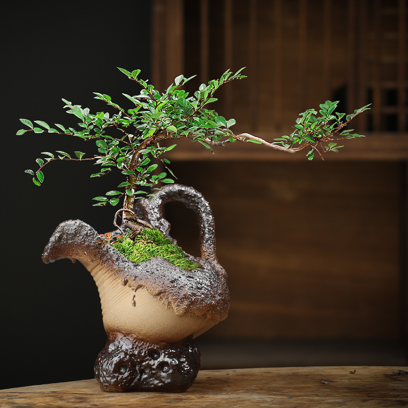 复古粗陶多肉花盆陶瓷透气陶罐文竹六月雪造景盆景盆手工切口破缸