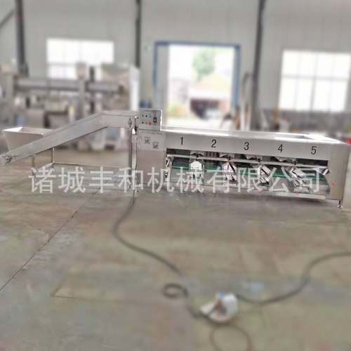 供应玉米大小分级机土豆马铃薯分级机蔬菜分级机胡萝卜分级机