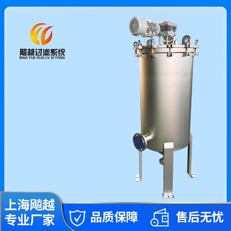 全自动刷式过滤器刮刀式过滤器刷式自清洗过滤器