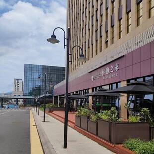 厂区家3米4公园小景观灯庭院灯仿TGZ古米灯灯笼灯草坪灯具灯灯杆