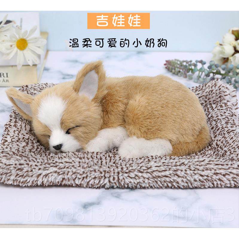 高档汽车摆件活性炭真猫狗公仔车载除竹炭包仿新车去甲醛异味车内