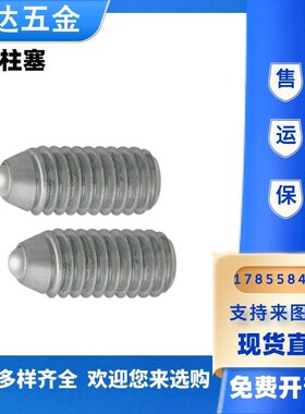 球头柱塞 BPU3 BPU4 BPU5 BPU6 BPU8 BPU10 BPU12 BPU16 BPU20