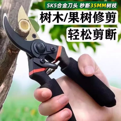 园艺剪刀修枝剪花剪树枝剪花艺专用工具园林修剪果树修剪花卉剪子