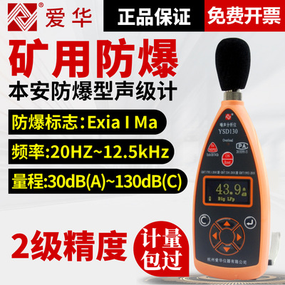 爱华声级计YSD130 噪音分析矿用本安型防爆噪声仪卫生防疫噪音计
