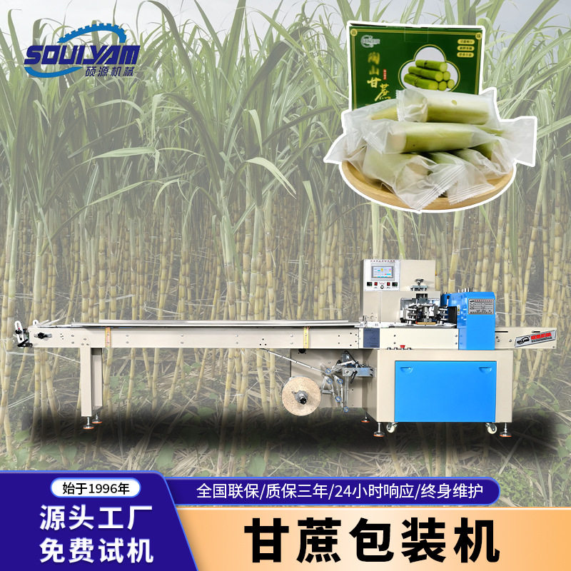 硕源枕式高速包装机食品新鲜脆甜