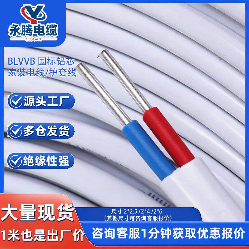 BLVVB铝芯护套线白色扁形2芯家装布电线2.5/4/6平工程绝缘电源线